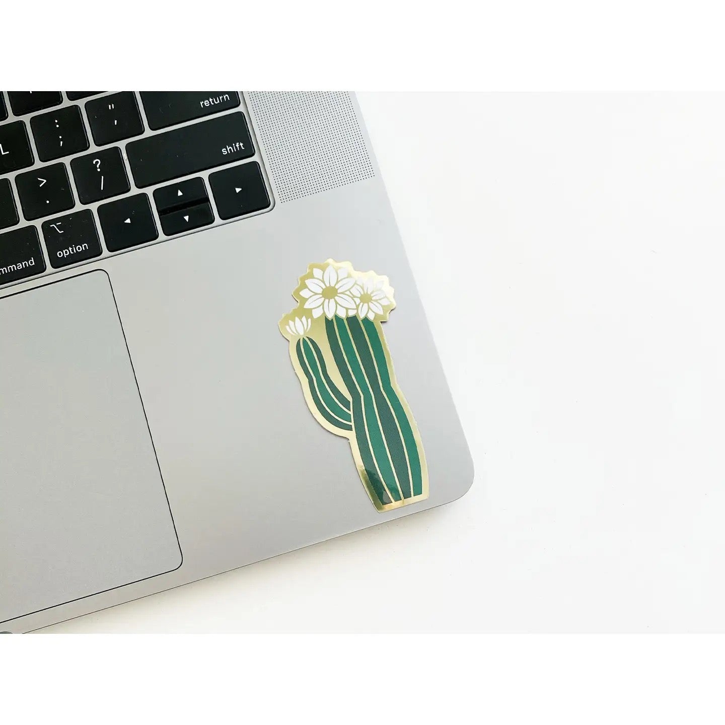 Cactus-shaped sticker on a laptop on white background