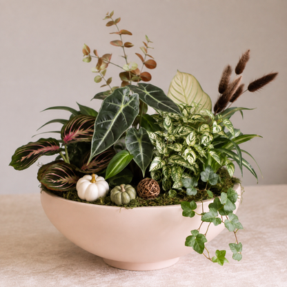 Plant Arrangement Workshop – Lethbridge