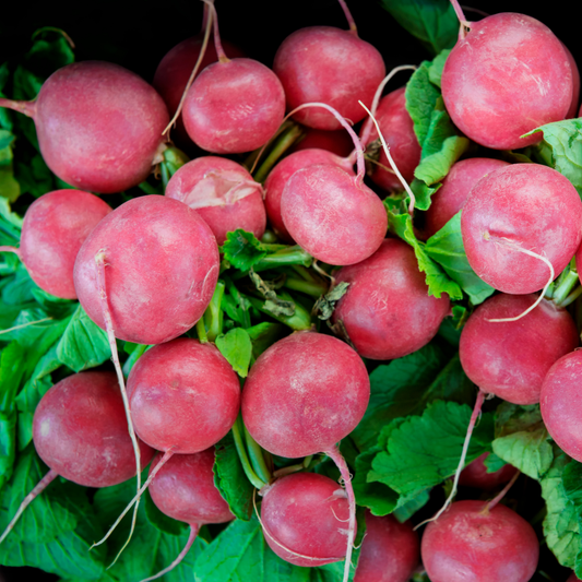 a large pile of bright red cherry belle radishes with long ends surrounded by green leaves with a black background