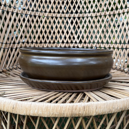 an oval shaped brown Chinese glazed ceramic bonsai pot with a drip tray resting on a wicker chair