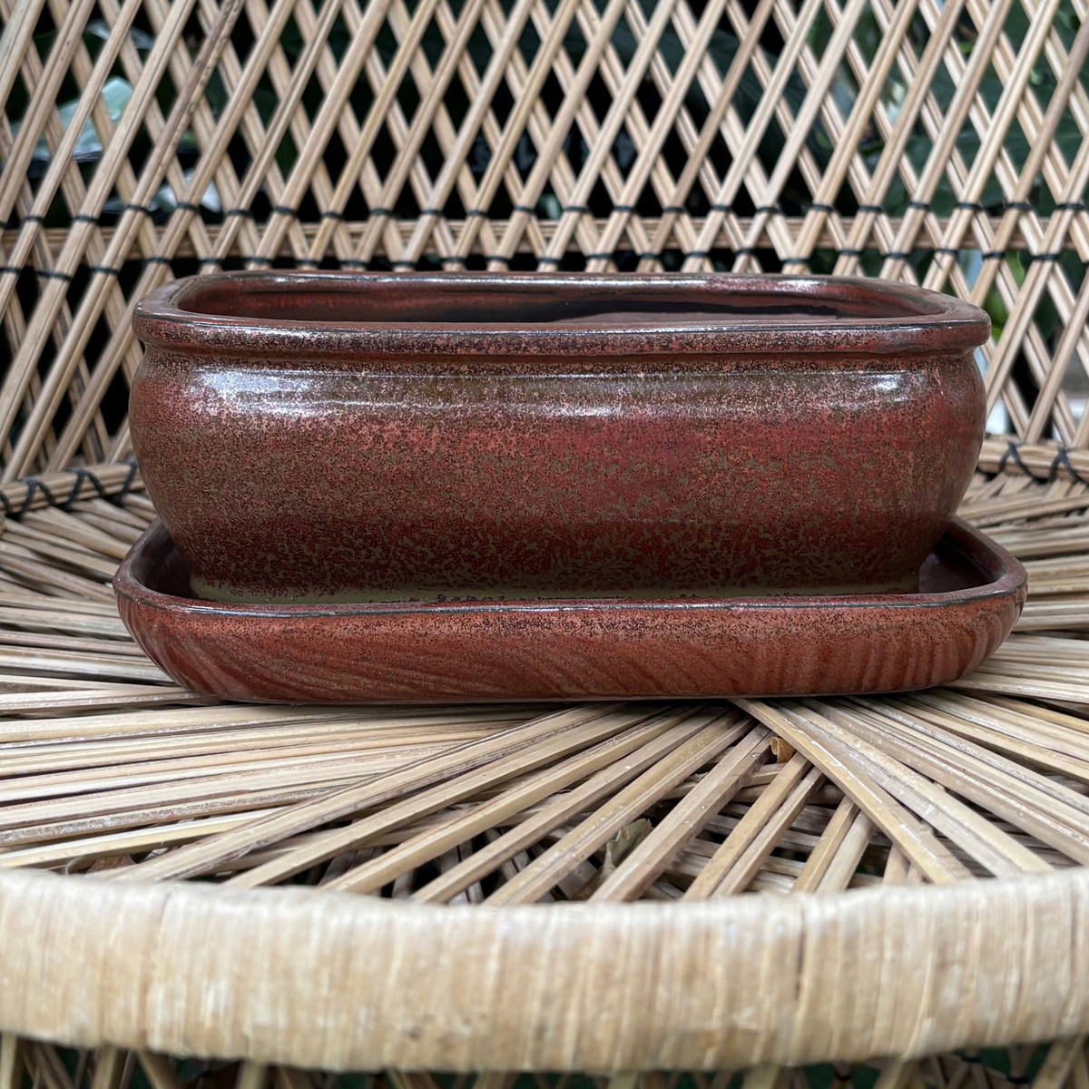 a rusted colour rectangle shaped Chinese glazed ceramic bonsai pot of medium size with a drip tray resting on a wicker chair