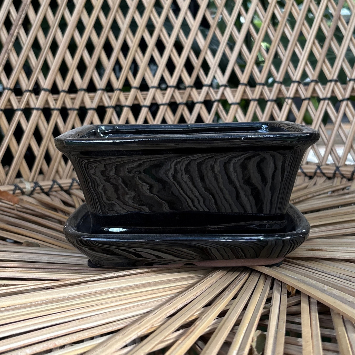 a small black glossy rectangle shaped Chinese ceramic bonsai pot with a drip tray resting on a wicker chair