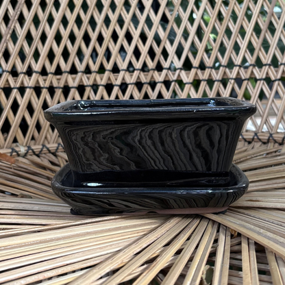 a small black glossy rectangle shaped Chinese ceramic bonsai pot with a drip tray resting on a wicker chair