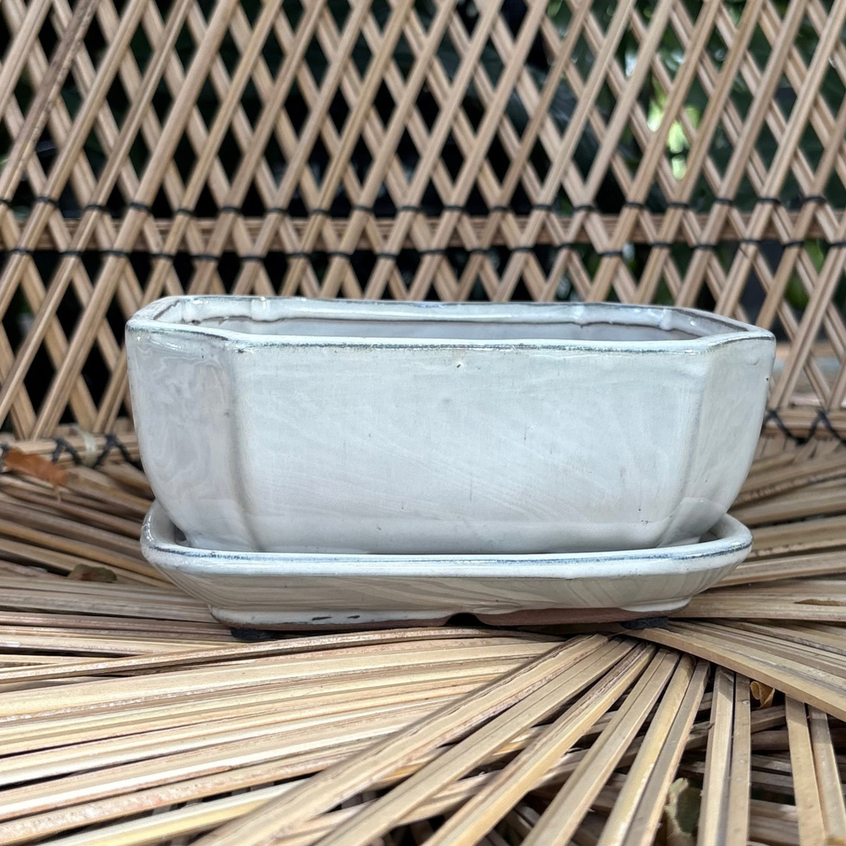 a small white glossy Chinese glazed ceramic bonsai pot with a drip tray resting on a wicker chair