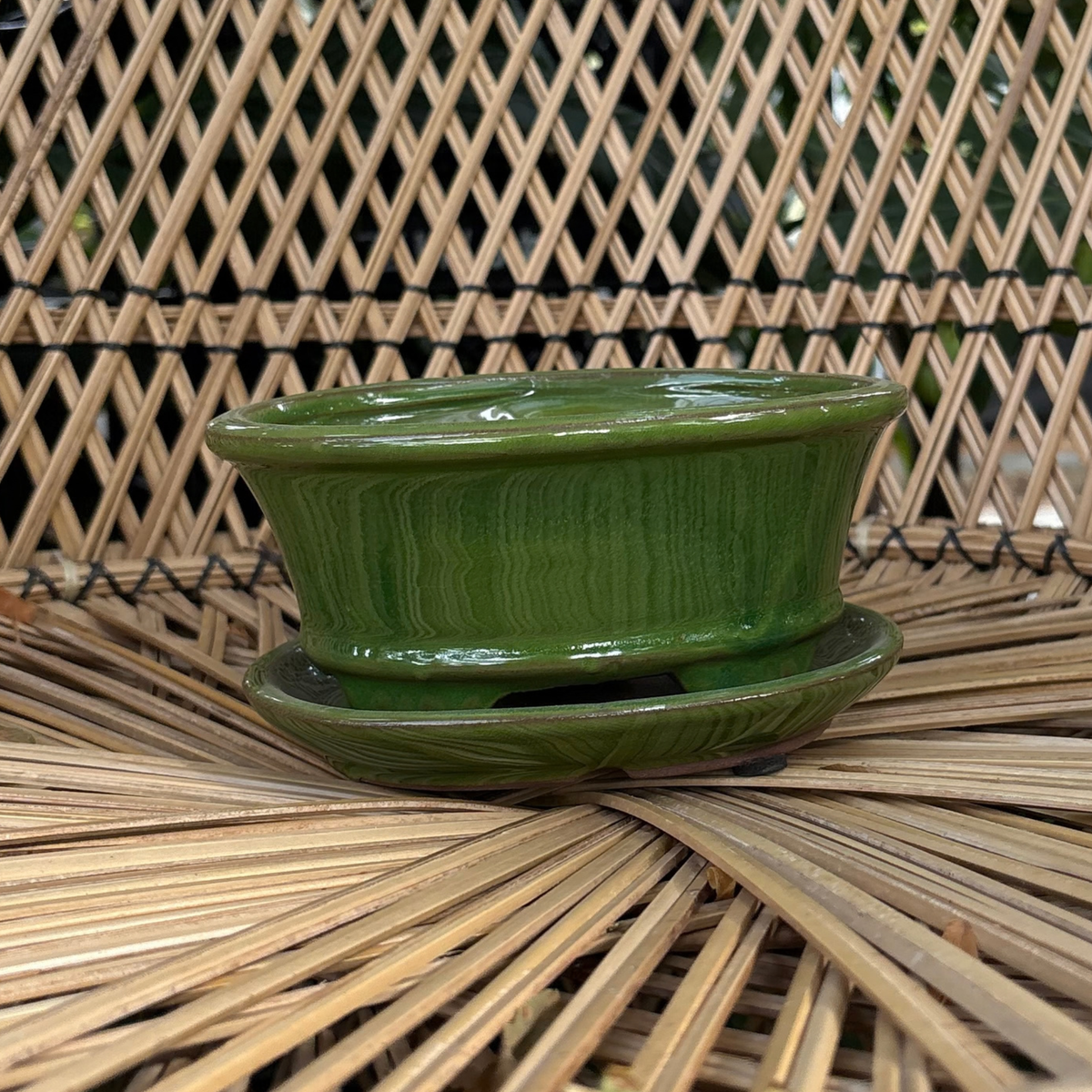 a small green glossy Chinese glazed ceramic bonsai pot with a drip tray resting on a wicker chair