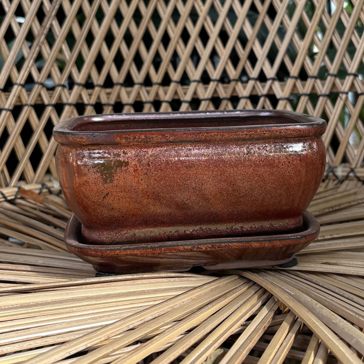 a copper toned rectangle shaped Chinese glazed iron ceramic bonsai pot with a drip tray resting on a wicker chair