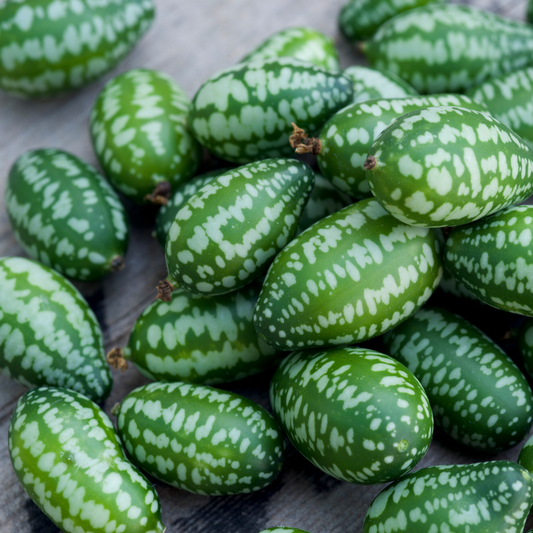 a pile of bright green white speckled cucamelon Mexican sour gherkins on a wooden surface