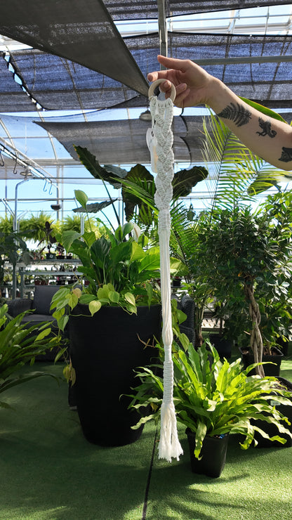 Braided Macramé Plant Hangers – Handwoven Cotton Plant Holders