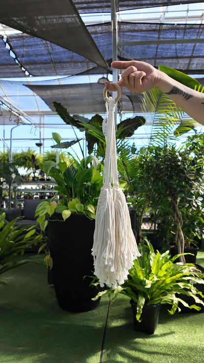 Fringed Macramé Plant Hangers – Boho Chic Indoor Hanging Planters