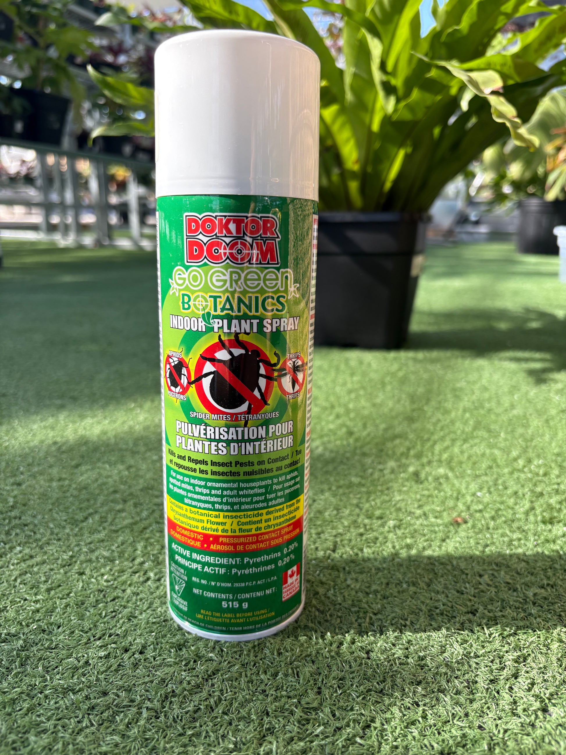 Doktor Doom Go Green Botanics Indoor Plant Spray can on green surface with greenhouse plants