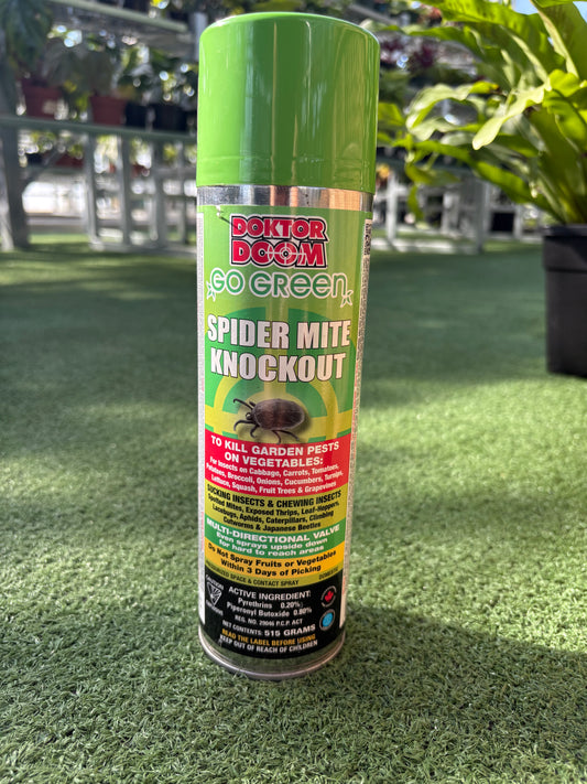 Green Can of Dr. Doom Spider Mite Knockout on a astro turf in green house