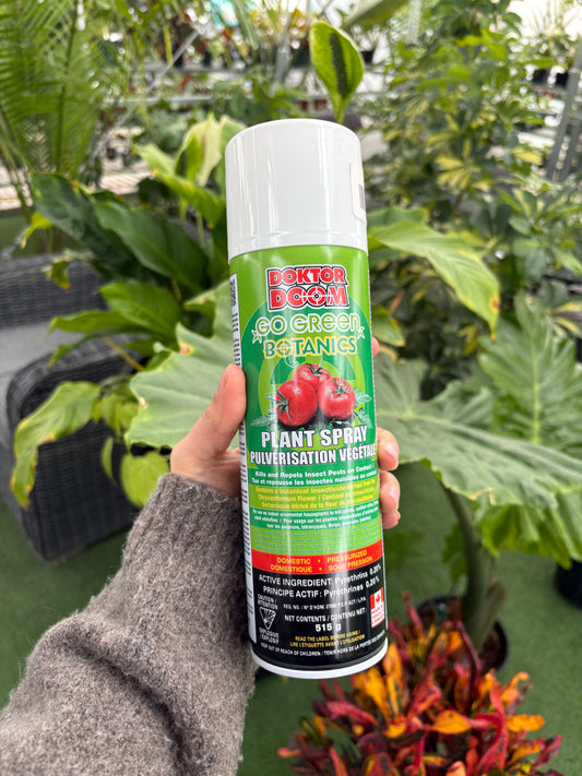 hand holding a green bottle of Dr. Doom Go Green Botanics Indoor Plant Spray in a greenhouse setting