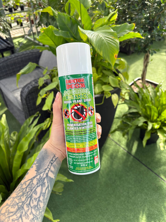 Hand holding a green and white spray bottle of Dr. Doom Go Green Botanics Plant Spray with plant in background