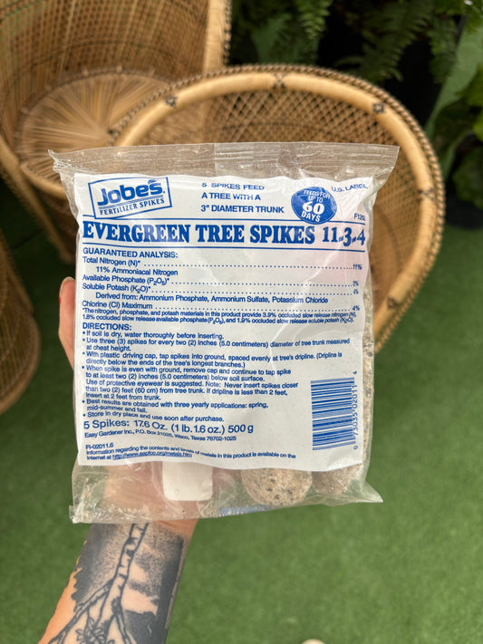 hand holding package of Evergreen Spikes 