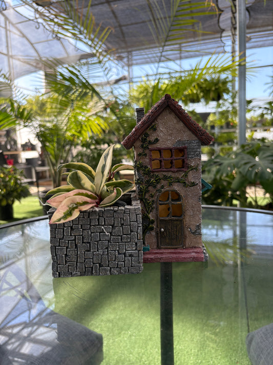 Small decorative house with a stone base with a plant in it with a greenery background