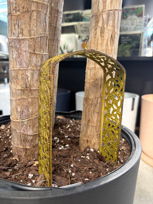 Fairy Metal Arch golden trellis arch surrounded by tree trunks