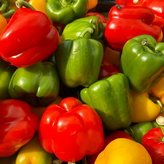 a large pile of bright green read and yellow flavorburst bell peppers with green stems 