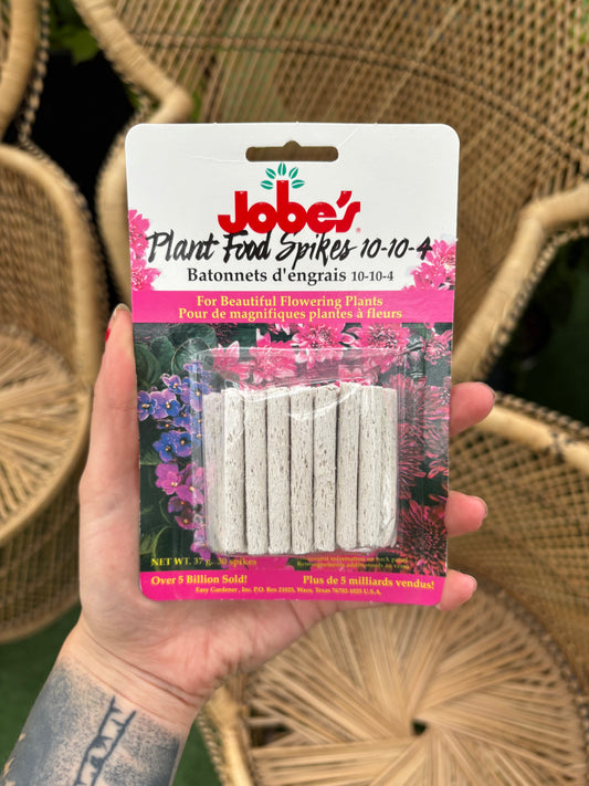 hand holding package of Flowering Plant Spikes in front of wicker chairs