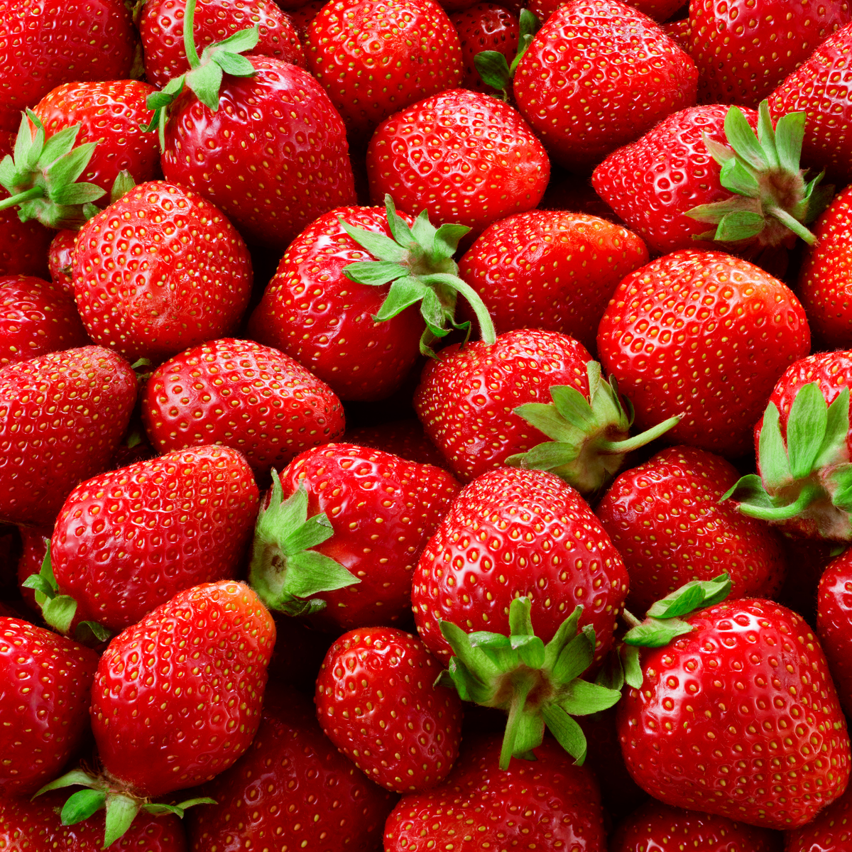 a close up of a large pile of many bright red honeoye strawberries with green stems
