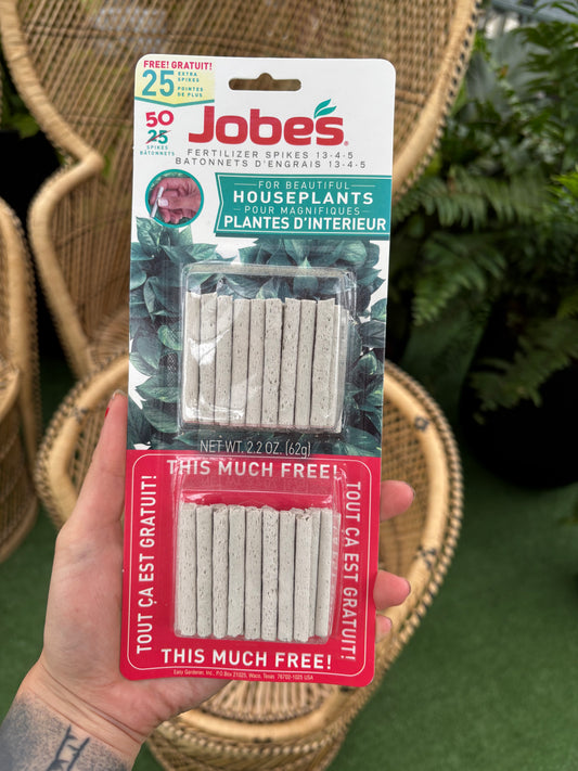 hand holding package of Houseplant Fertilizer Spikes in front of wicker chairs 