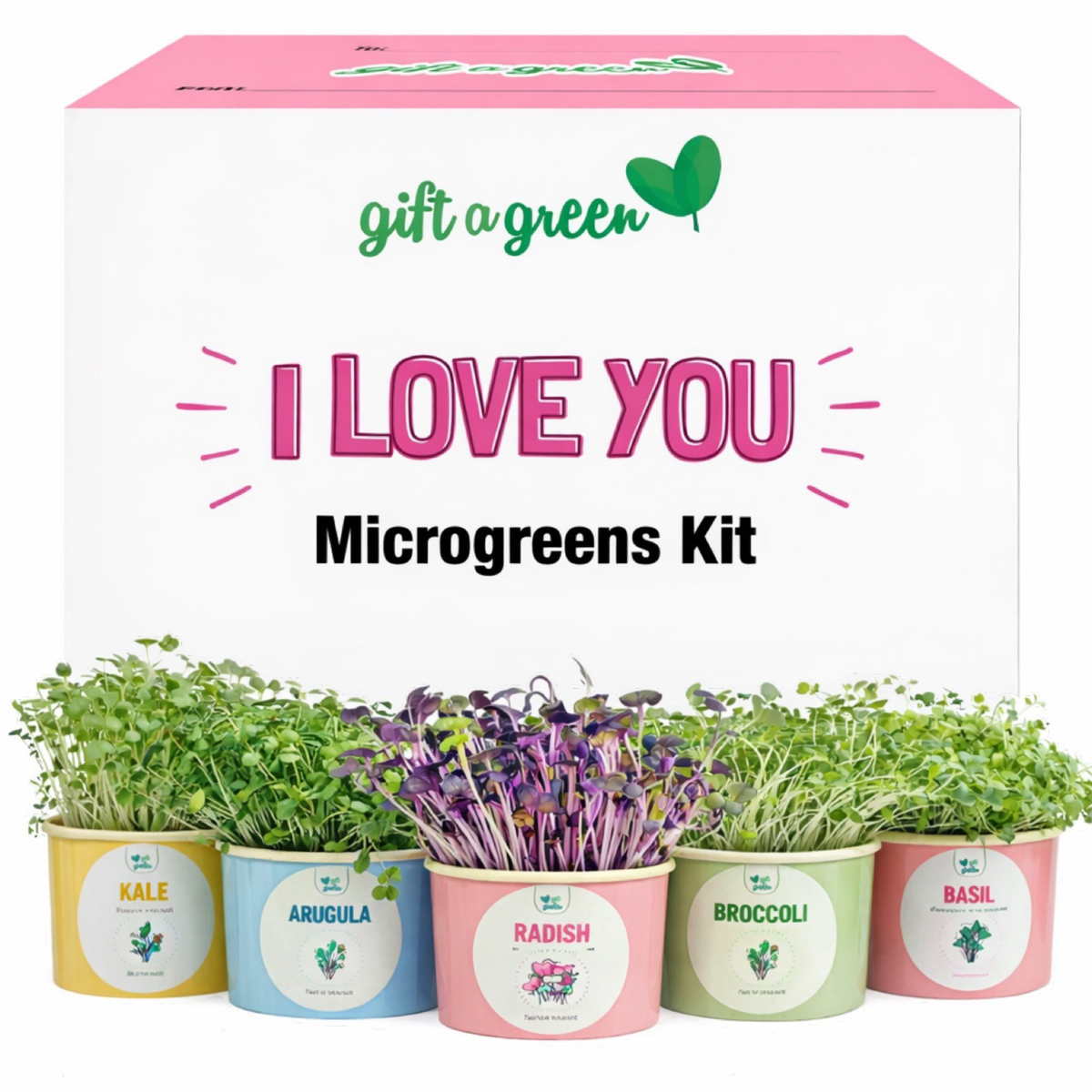 an image of the I love you microgreen gift box set with a row of colourful pots sitting infront of it with microgreens growing out of them on a white background 