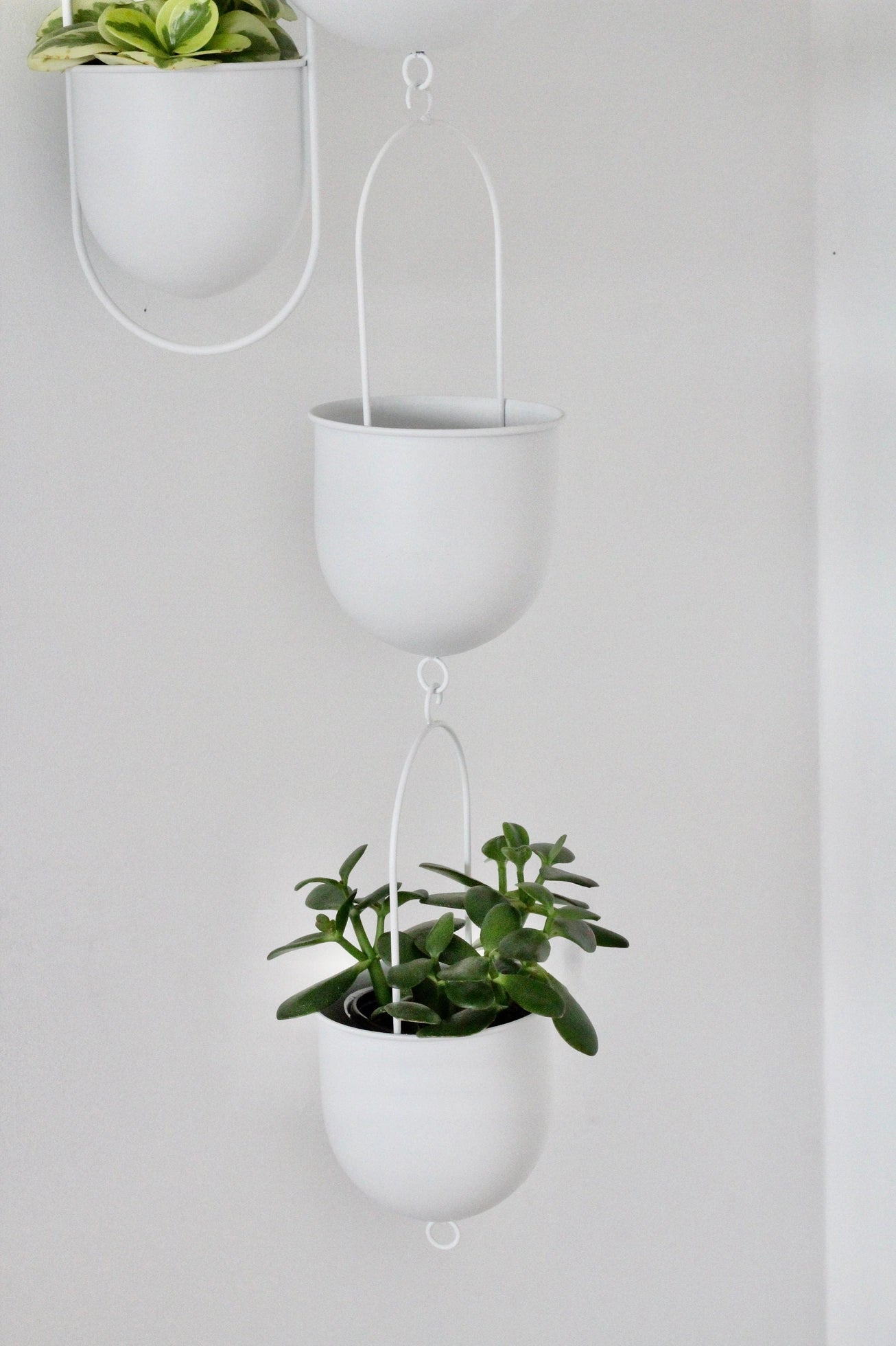 hanging pots for plants indoor Hanging Planters – Stylish Indoor & Outdoor Plant Holders – Urbane Eight Inc