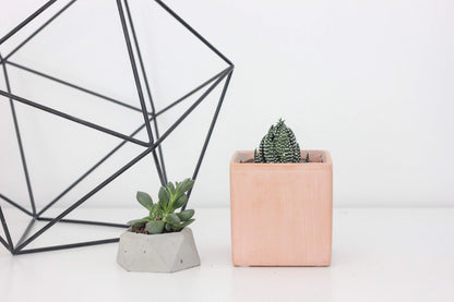 Cube Planter 3"