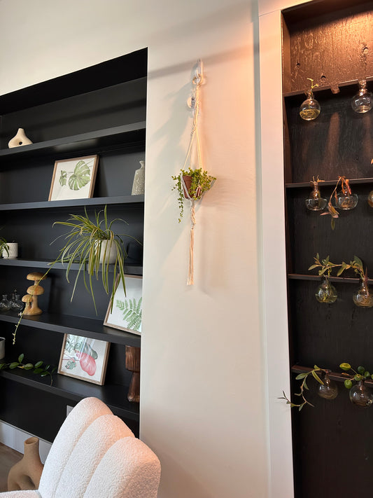 Spiral Detail Hangers