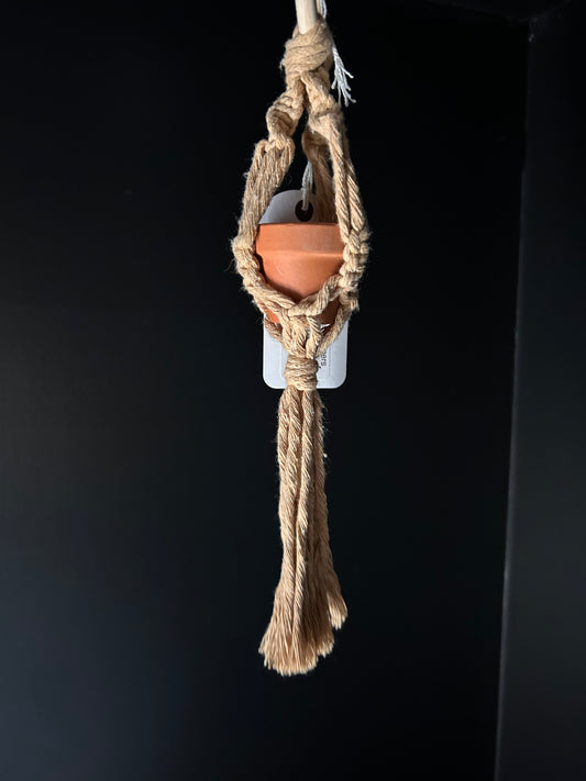 Mini plant hangers