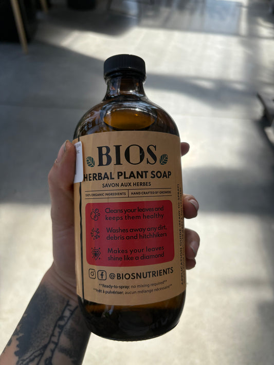Savon aux plantes – Antiparasitaire naturel prêt à pulvériser pour plantes d'intérieur