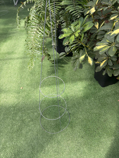 Tomato Cages