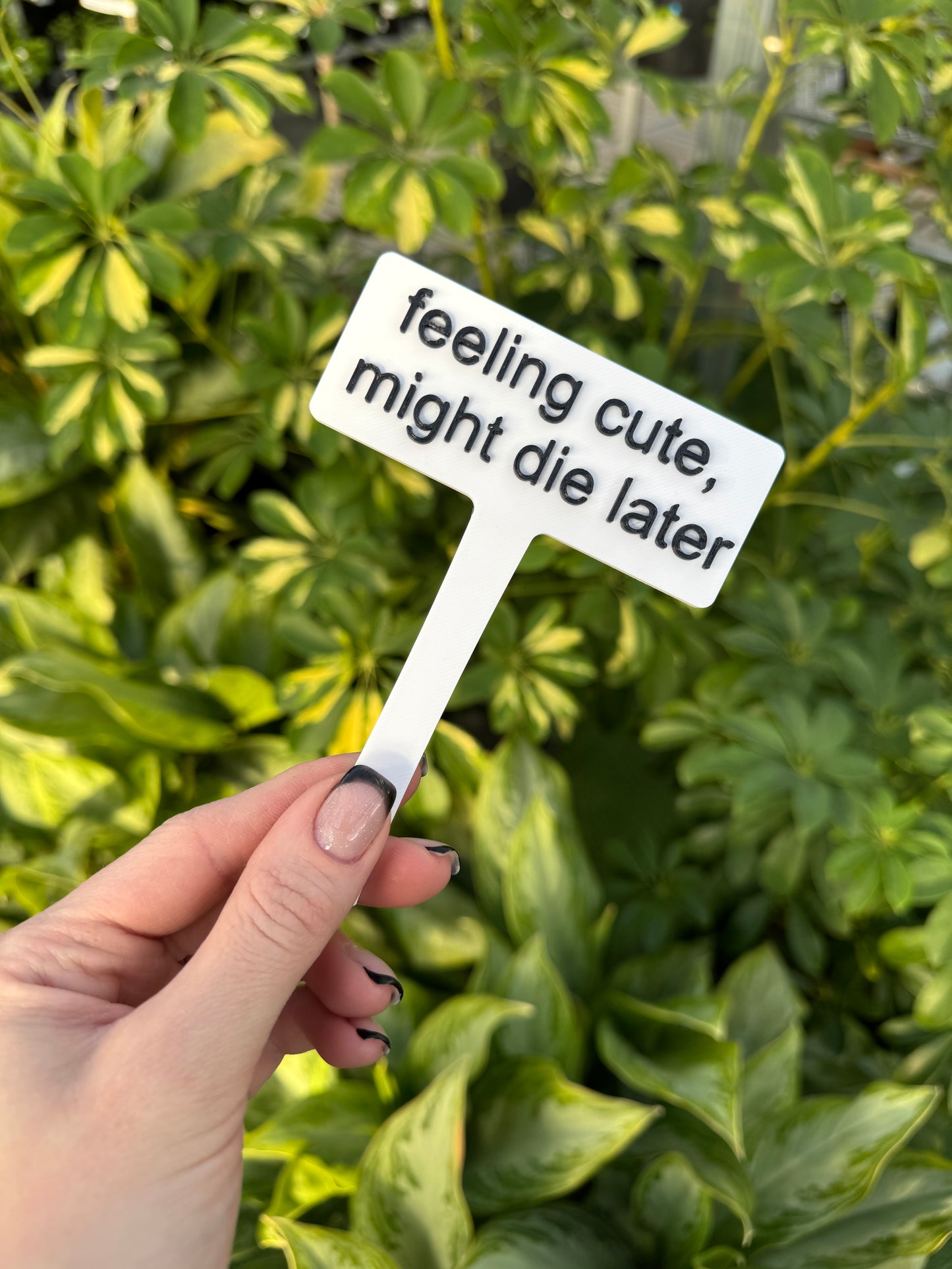 Punny Plant Stakes/ Funny Plant Markers