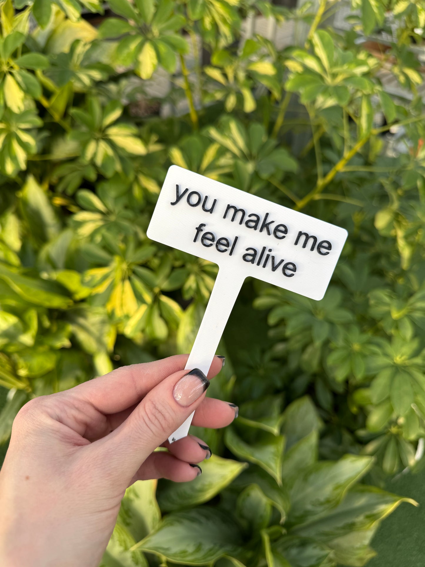 Punny Plant Stakes/ Funny Plant Markers