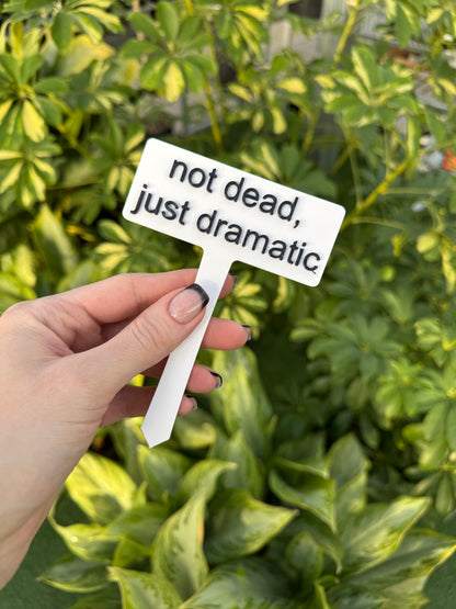 Punny Plant Stakes/ Funny Plant Markers