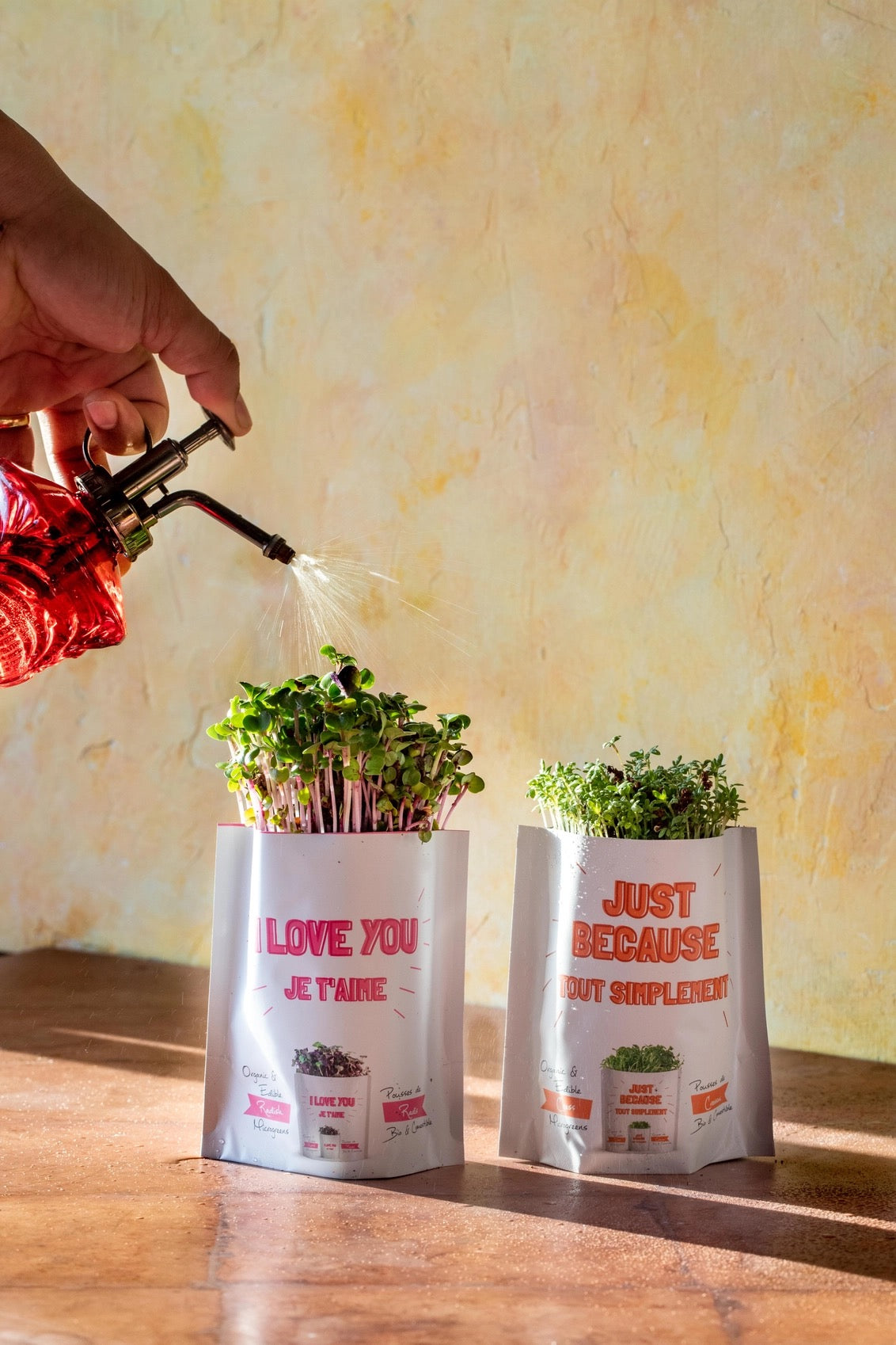Blank Create Your Own Sunflower Microgreens Card | Giftagreen