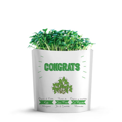 Congrats Kale Microgreens Grow Card | Giftagreen