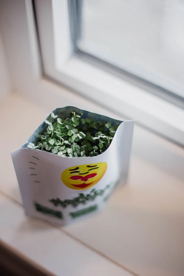 Emoji Hug Kale & Arugula Microgreens Grow Card | Giftagreen