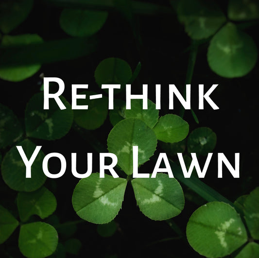 Lawn Solutions