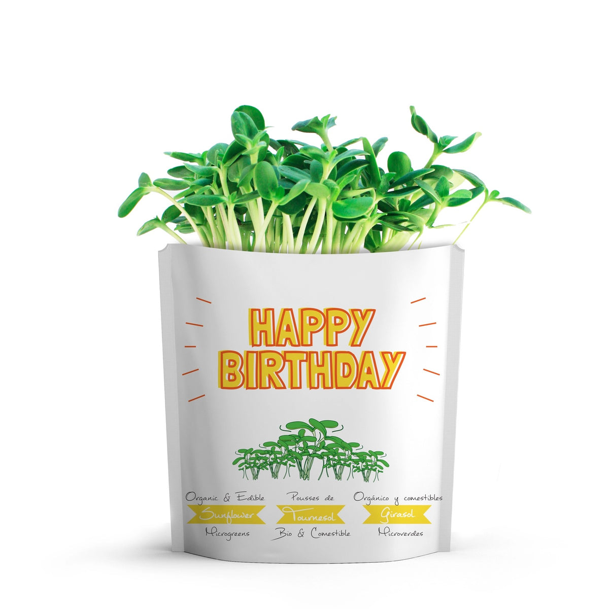 Happy Birthday Sunflower Microgreens Grow Card | Giftagreen