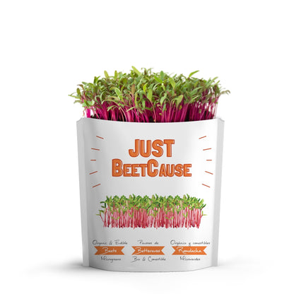 Just Beetcause Beet Microgreens Grow Card | Giftagreen