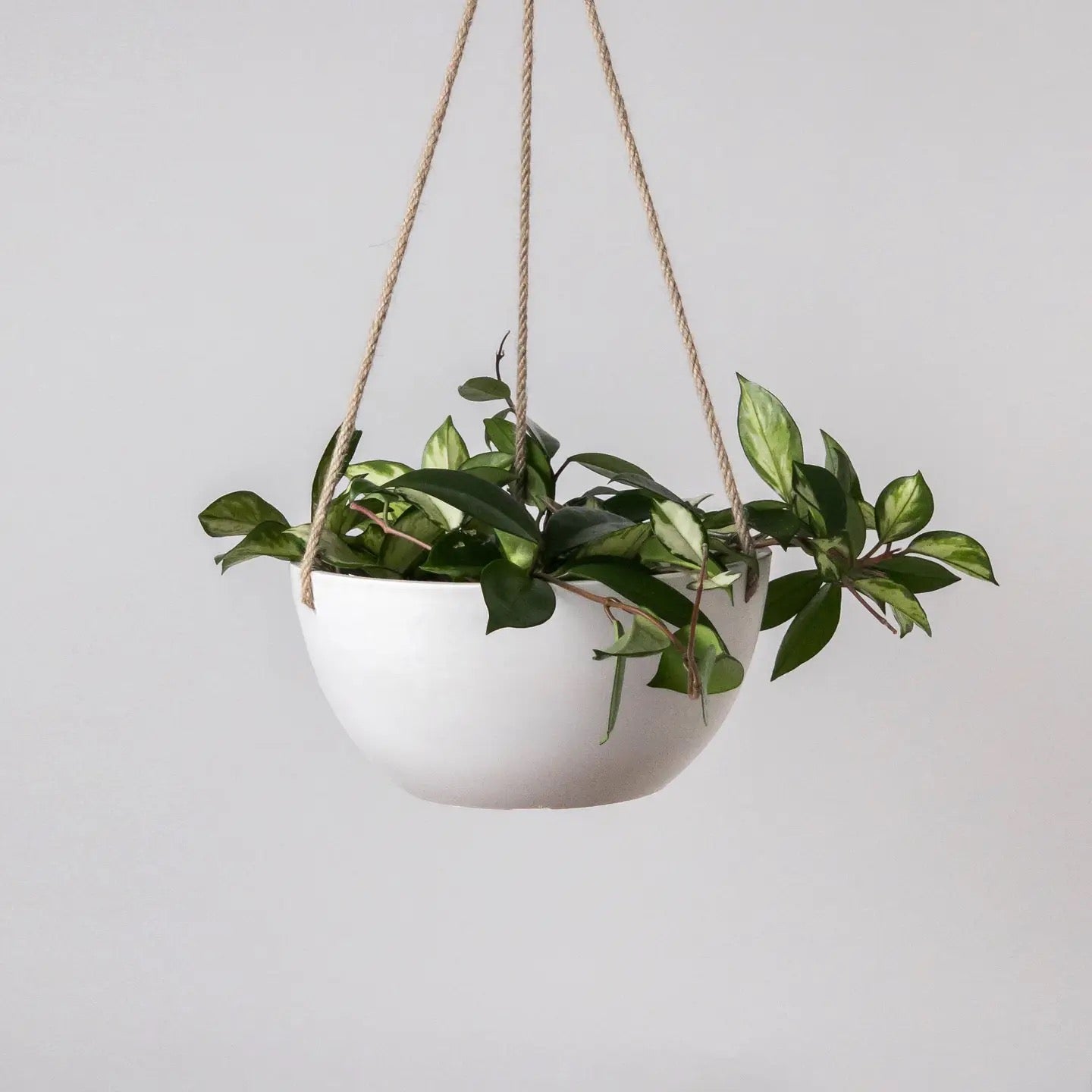 12" Kanso Designs Round Hanging Planter
