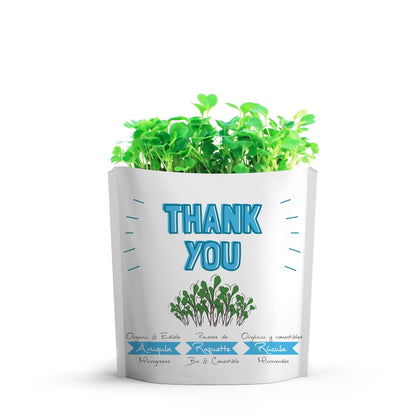 Thank You Arugula Microgreens Grow Card | Giftagreen