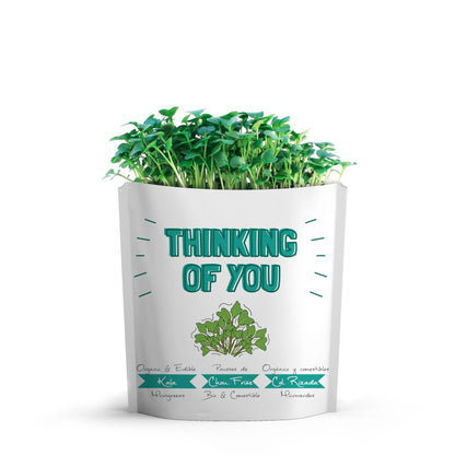 Thinking of You Kale Microgreens Grow Card | Giftagreen