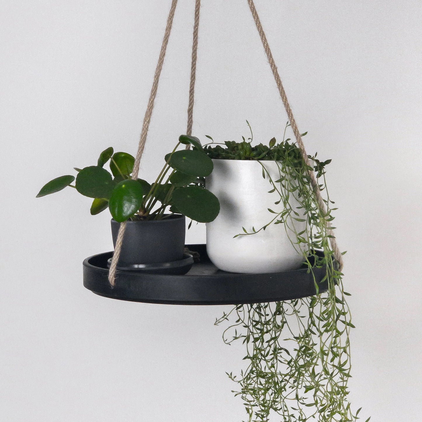 10" Kanso Designs Hanging Tray