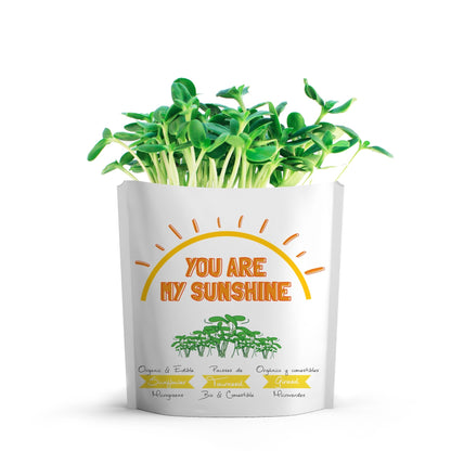 You Are My Sunshine Sunflower Microgreens Grow Card | Giftagreen