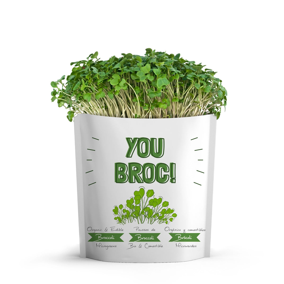 You Broc Broccoli Microgreens Grow Card | Giftagreen
