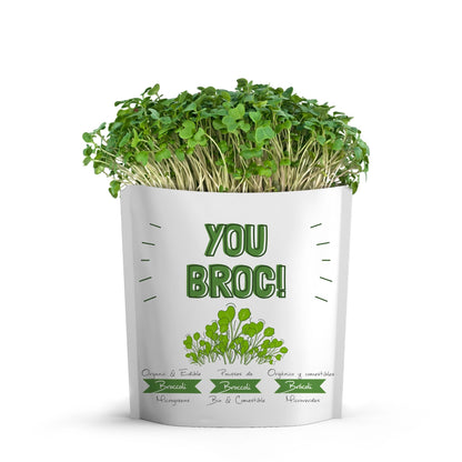 You Broc Broccoli Microgreens Grow Card | Giftagreen