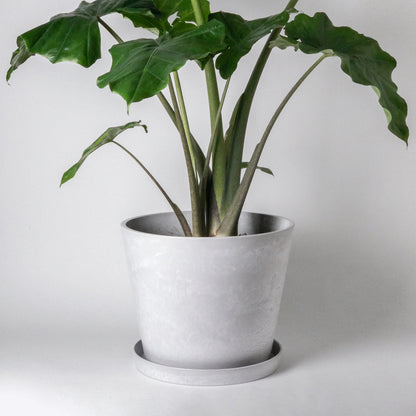 15" Kanso Designs Tapered Planter