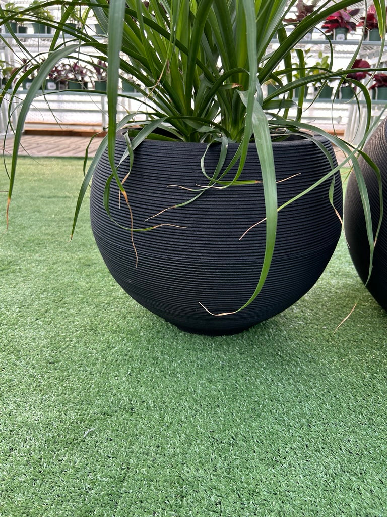 Lattice Linea Planter – Black Modern Indoor Plant Pot