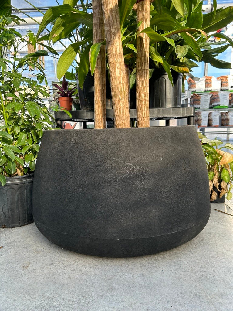 Jardinière ronde Bios – Pot de fleurs moderne noir pour intérieur et extérieur
